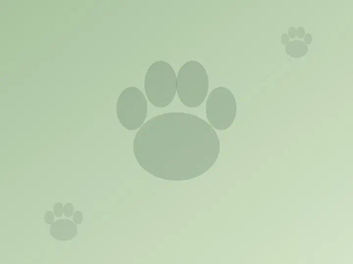 拆快递大赛的照片 2
